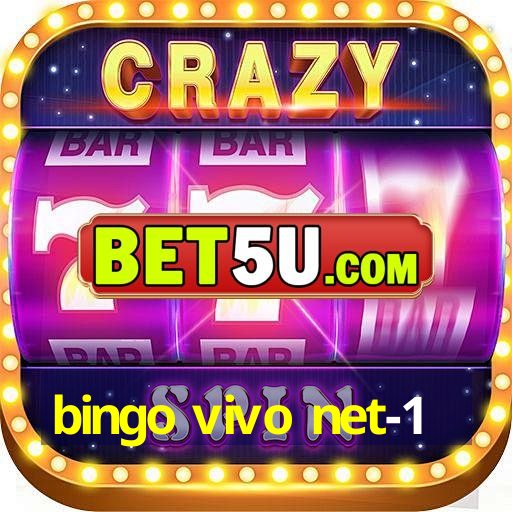 bingo vivo net